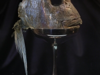 8. Fish Head in a Silver Goblet with Rautawhiri Flowers_Ripiro (2014)