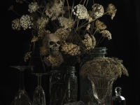 1. Still Life with Hemlock and Dice (2011)