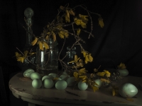 3. Still Life Kowhai and Aracana Eggs (2011)