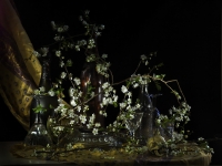 6. Still Life with Plum Blossoms and Valium (2011)