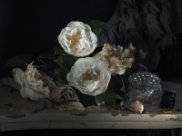 7. Still Life My Mother's Camelia_and Mokohinau Black Coral (2011)