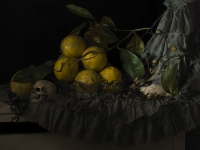 9. Still Life with Seaweed and Lemons (2011)