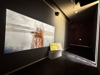 Landscapes-of-Futures-Past_Exhibition-Views_RRV_108