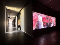 Landscapes-of-Futures-Past_Exhibition-Views_RRV_117