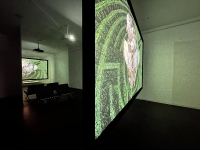 Landscapes-of-Futures-Past_Exhibition-Views_RRV_12
