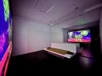 Landscapes-of-Futures-Past_Exhibition-Views_RRV_21