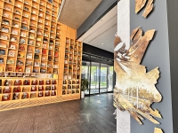 Landscapes-of-Futures-Past_Exhibition-Views_RRV_236