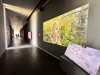 Landscapes-of-Futures-Past_Exhibition-Views_RRV_24