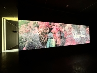 Landscapes-of-Futures-Past_Exhibition-Views_RRV_32