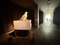 Landscapes-of-Futures-Past_Exhibition-Views_RRV_373