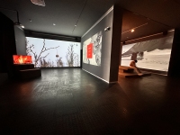 Landscapes-of-Futures-Past_Exhibition-Views_RRV_76