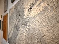 1_Luis-Carrera-Maul_Residency_Installation_Rachel_1