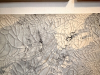 1_Luis-Carrera-Maul_Residency_Installation_Rachel_11