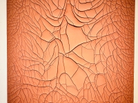 1_Luis-Carrera-Maul_Residency_Installation_Rachel_27