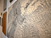 Luis-Carrera-Maul_Residency_Installation_Rachel_1