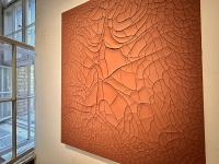 Luis-Carrera-Maul_Residency_Installation_Rachel_10