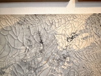Luis-Carrera-Maul_Residency_Installation_Rachel_11