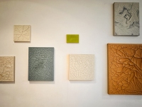 Luis-Carrera-Maul_Residency_Installation_Rachel_23